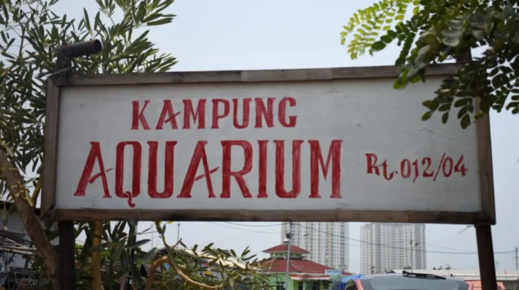 papan Penanda Kampug Akuarium